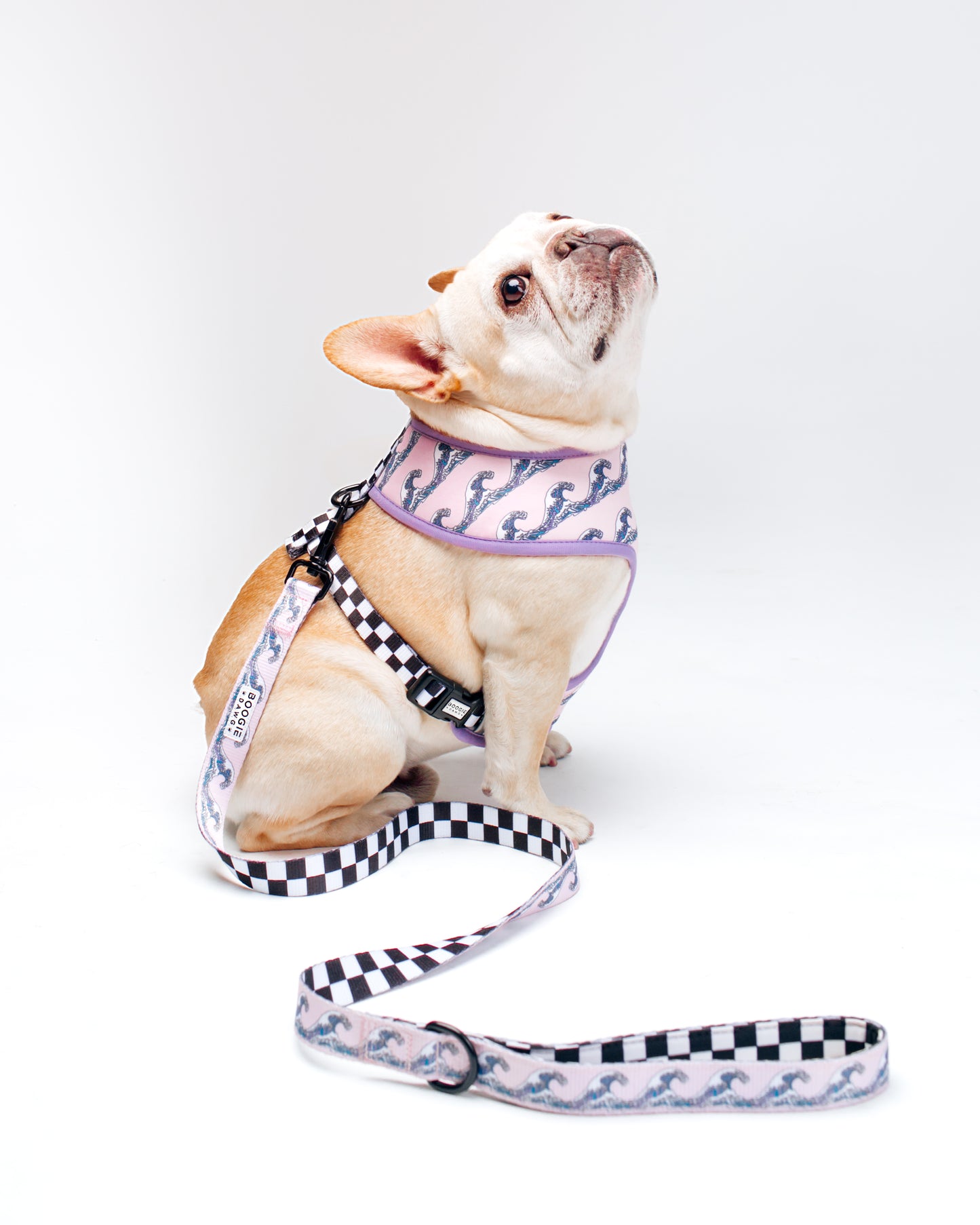 The Checker Wave Harness and Leash Bundle