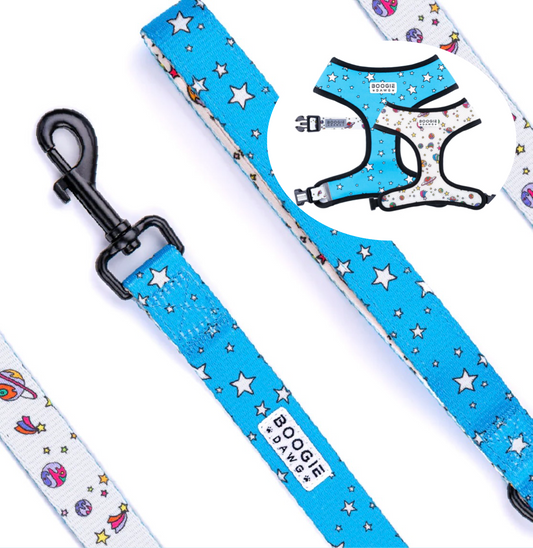 The Space Harness and Leash Bundle