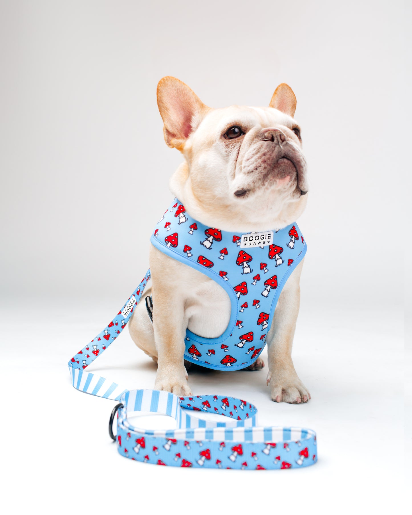 The Mushroom Harness and Leash Bundle