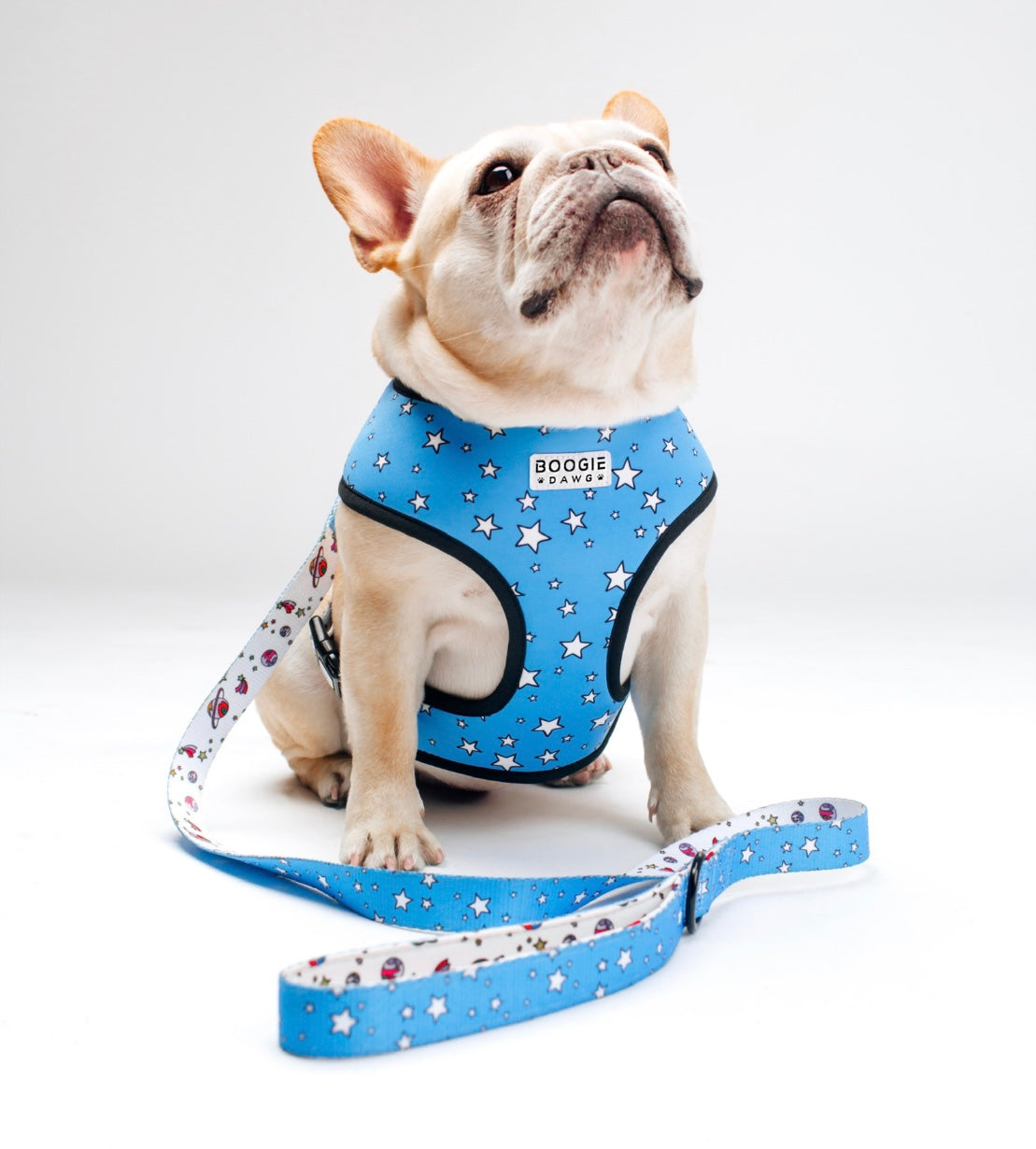 Reversable Space Harness