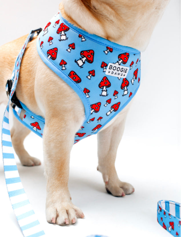 Reversable Mushroom Harness